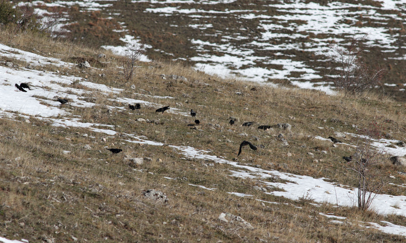 Gran Sasso - 17.01.2019 e.strinella -0012012-