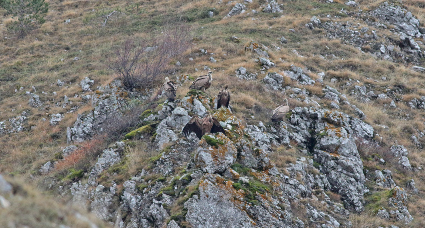 Gran Sasso 28.11.2019 -005- e.strinella