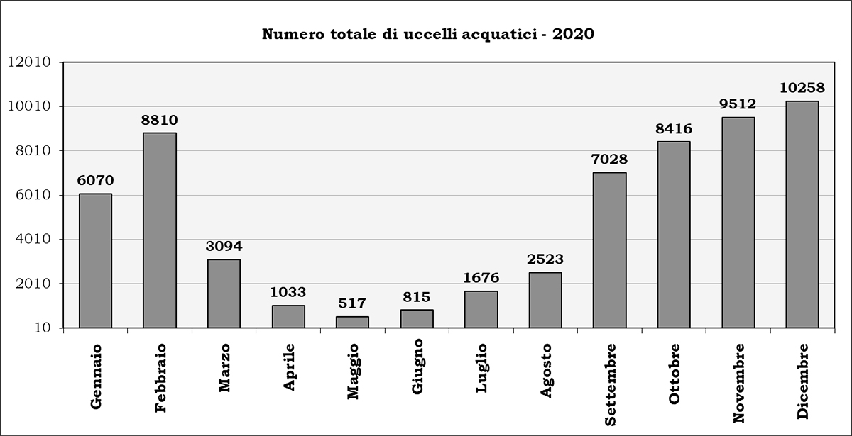 Numero animali Censimento Uccelli Acquatici stagione-2020