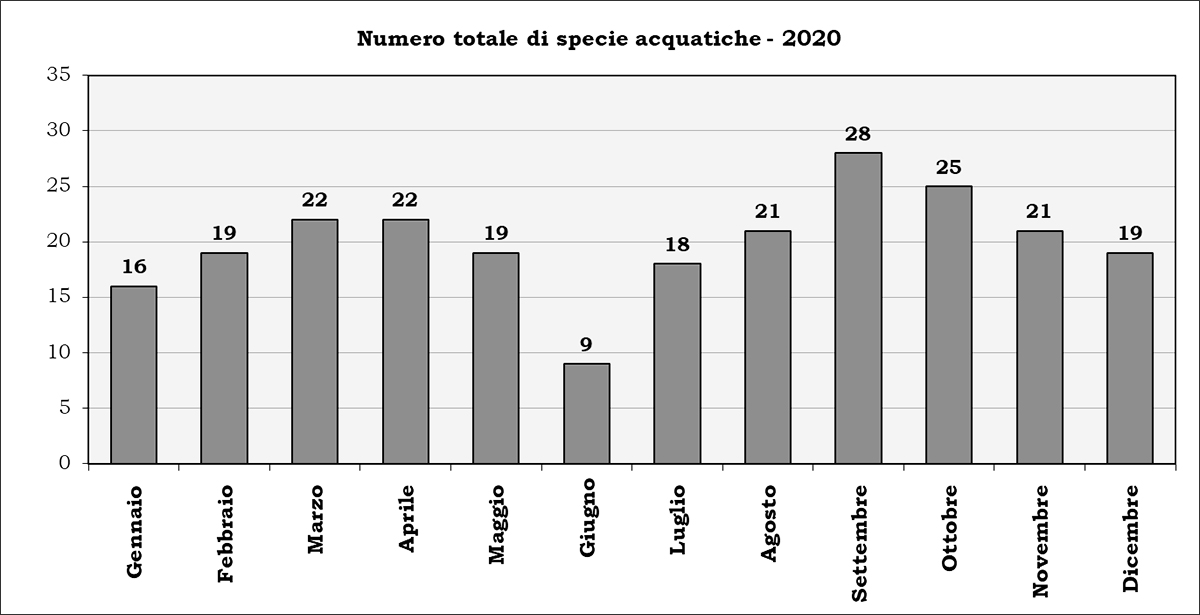 Numero specie Censimento Uccelli Acquatici stagione-2020