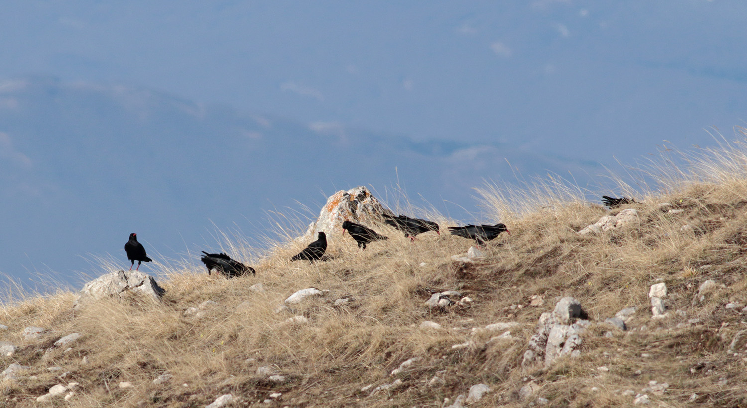 Home page Gran Sasso marzo 2020 1