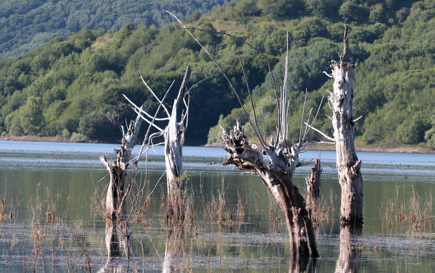 HomePage-ATTIVIA-2026-01